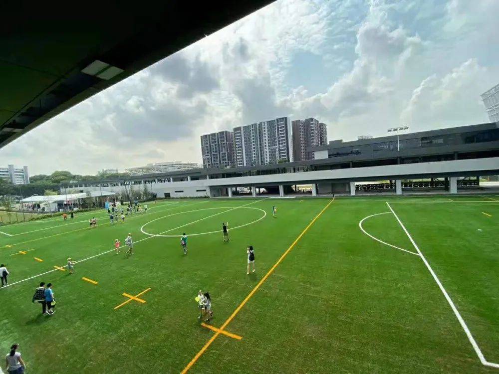 干货满满!新加坡中小学留学攻略来了