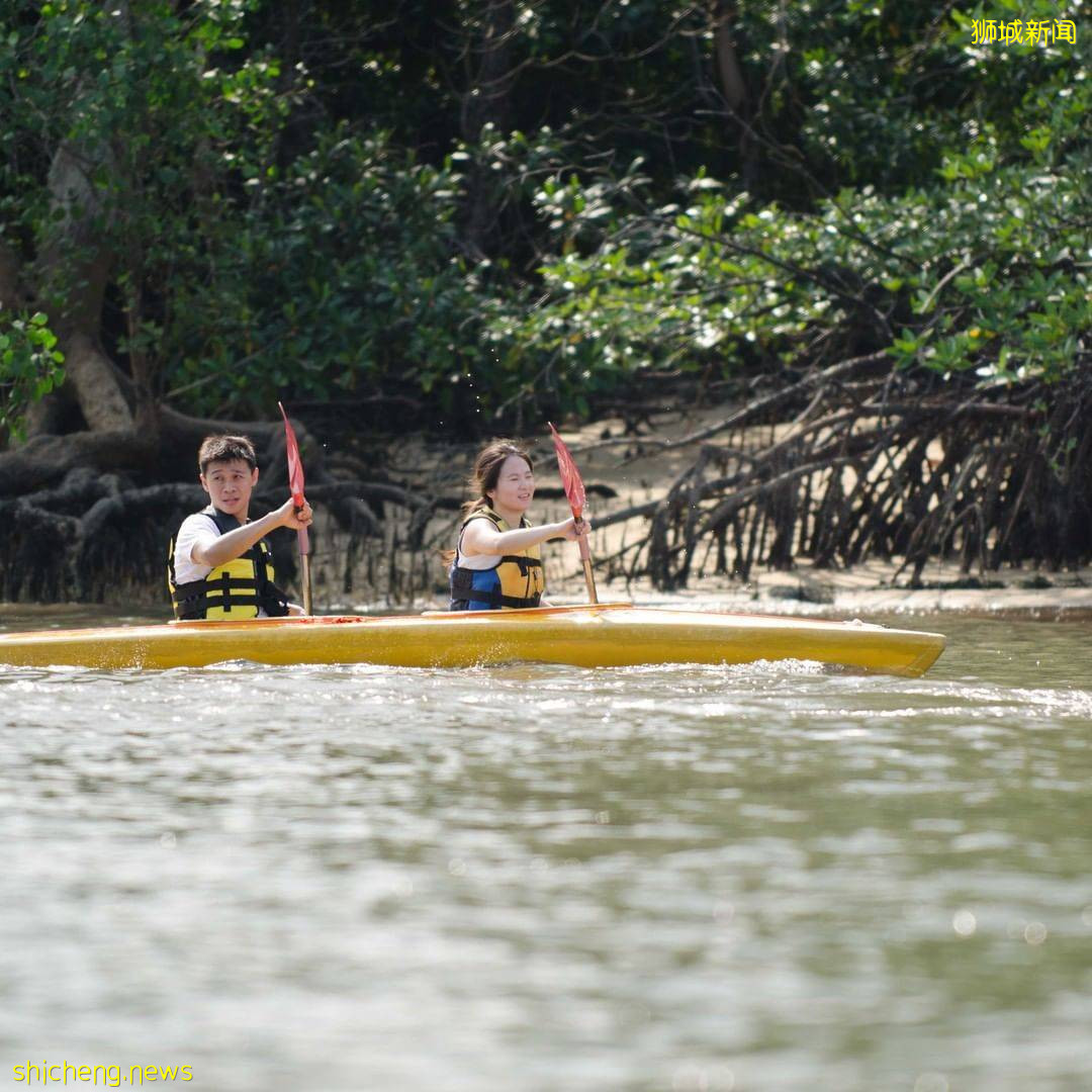 PAssion WaVe提供免费租借皮划艇🚣♀️ 边划船边参与海上清理活动!提供齐全设备而且真的不收费🌊