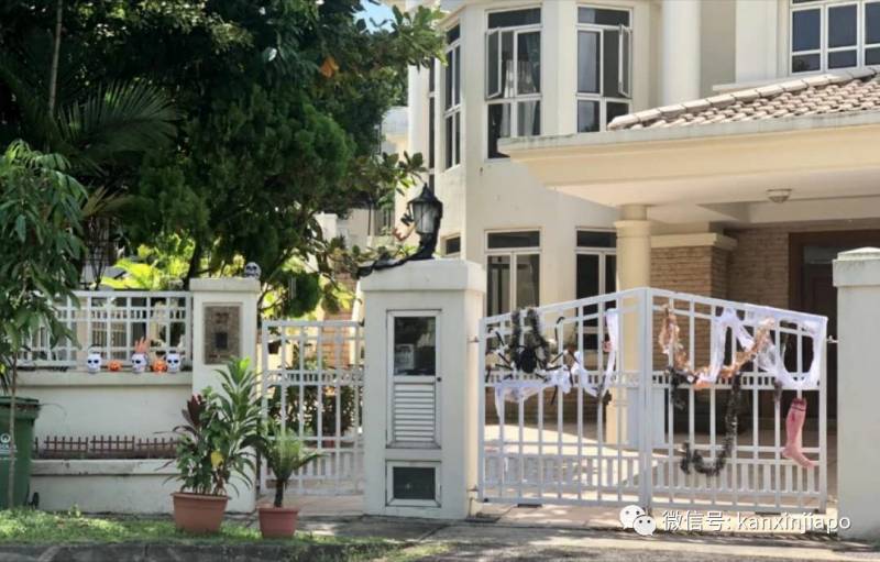 新加坡這條街,前晚出現大量蜘蛛和骷顱頭