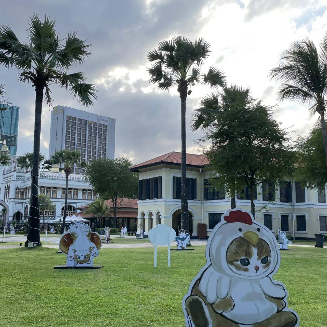 超可爱!马来文化遗产中心惊现多只猫咪