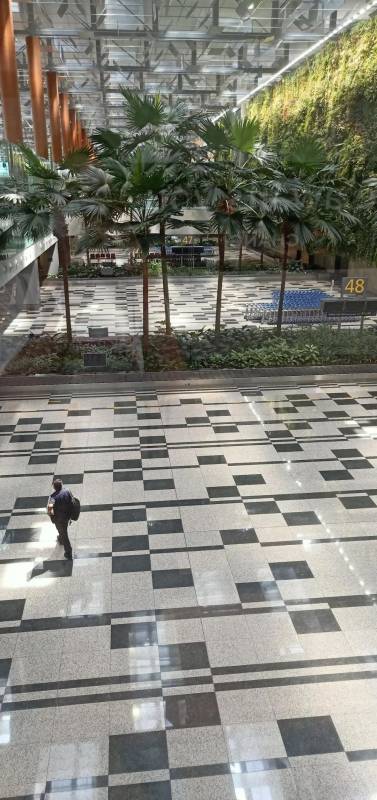 实拍!樟宜机场变样了~ 新航半年净亏损34亿新币