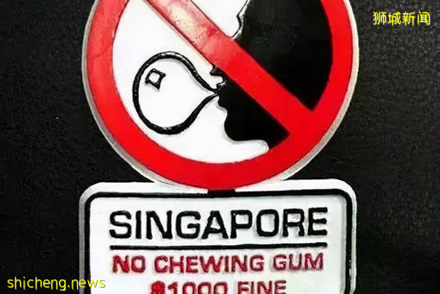 那些奇奇怪怪的知识(新加坡下)