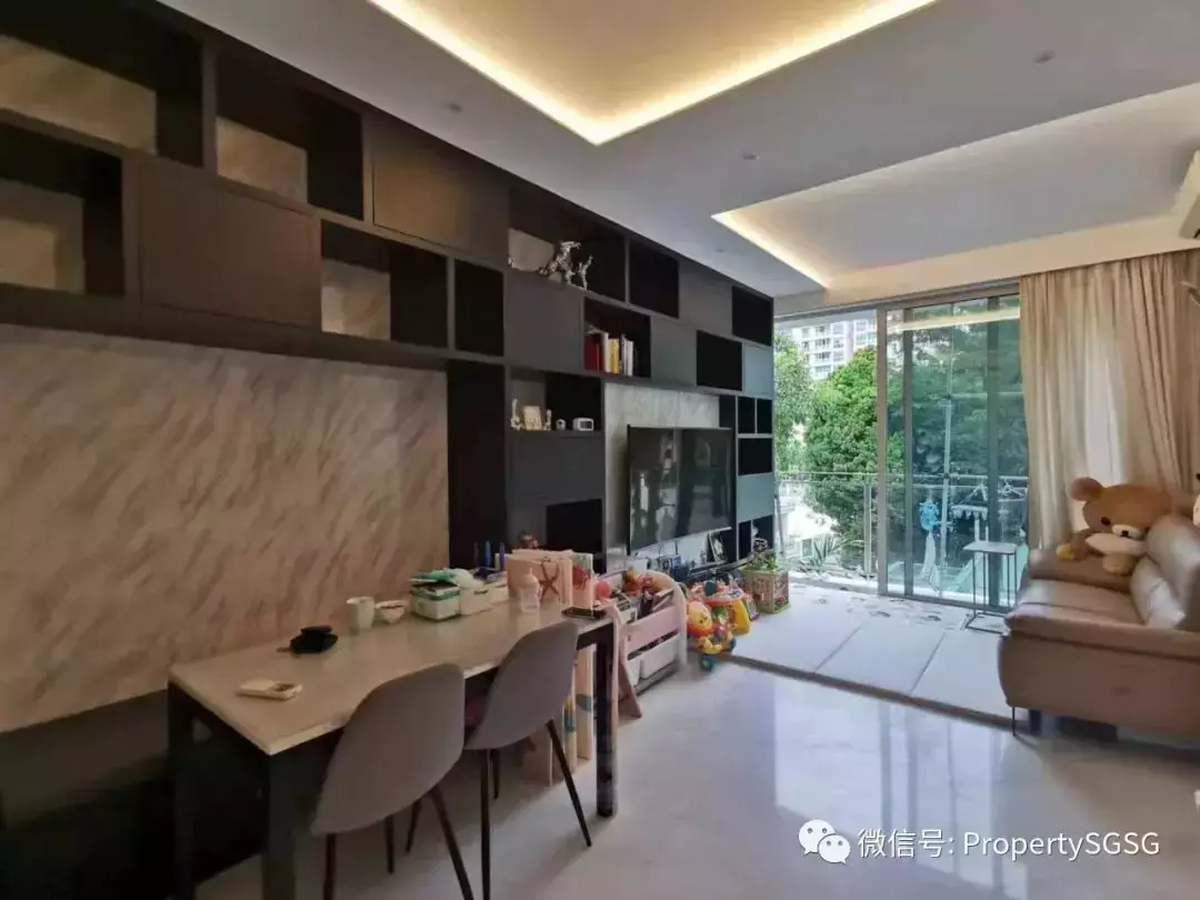 【近期优质/划算二手房源分享】新加坡市区公寓