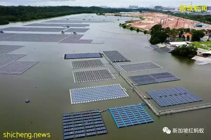 新加坡是全球太阳能密度最高的城市之一 这些位置竟有光伏板