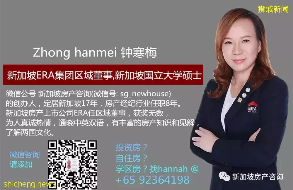 新加坡的价值洼地，核心区永久产权项目  山水大盘 Hyll on Holland