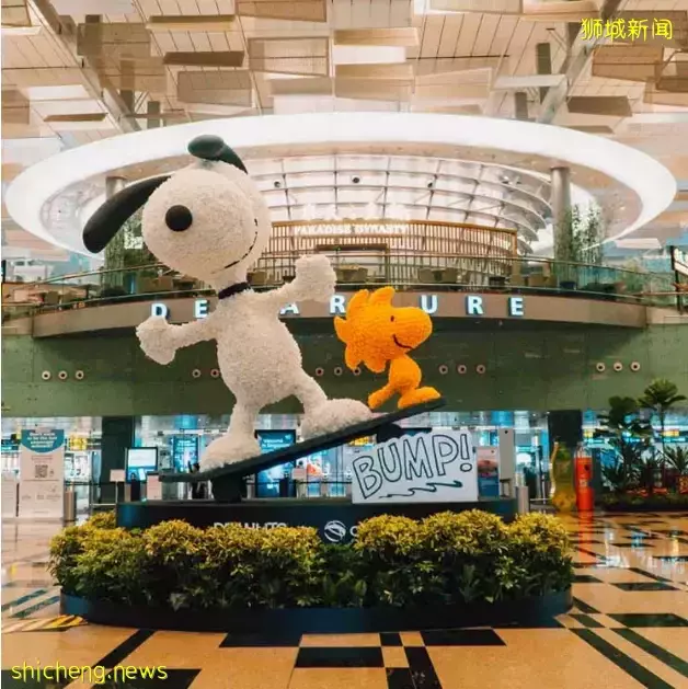 樟宜机场下雪了！6月假期，在空中花园看露天电影，和BTS亲密互动