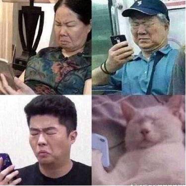 新加坡牛車水驚現各種成語，徹底火了！網友：跟看《花木蘭》心情一樣