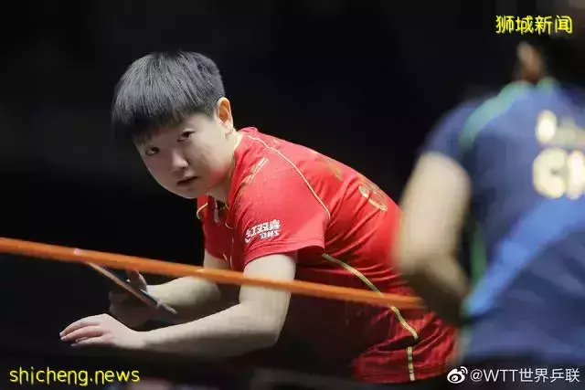 WTT新加坡大满贯打响,国乒全主力出战迎考验