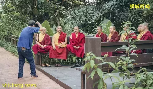 带你认识一个真实的新加坡,当地人的生活,让人很羡慕