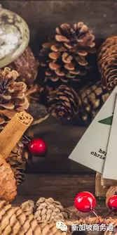 不容错过的圣诞全攻略,让你和家人一起渡过一个喜悦的节日