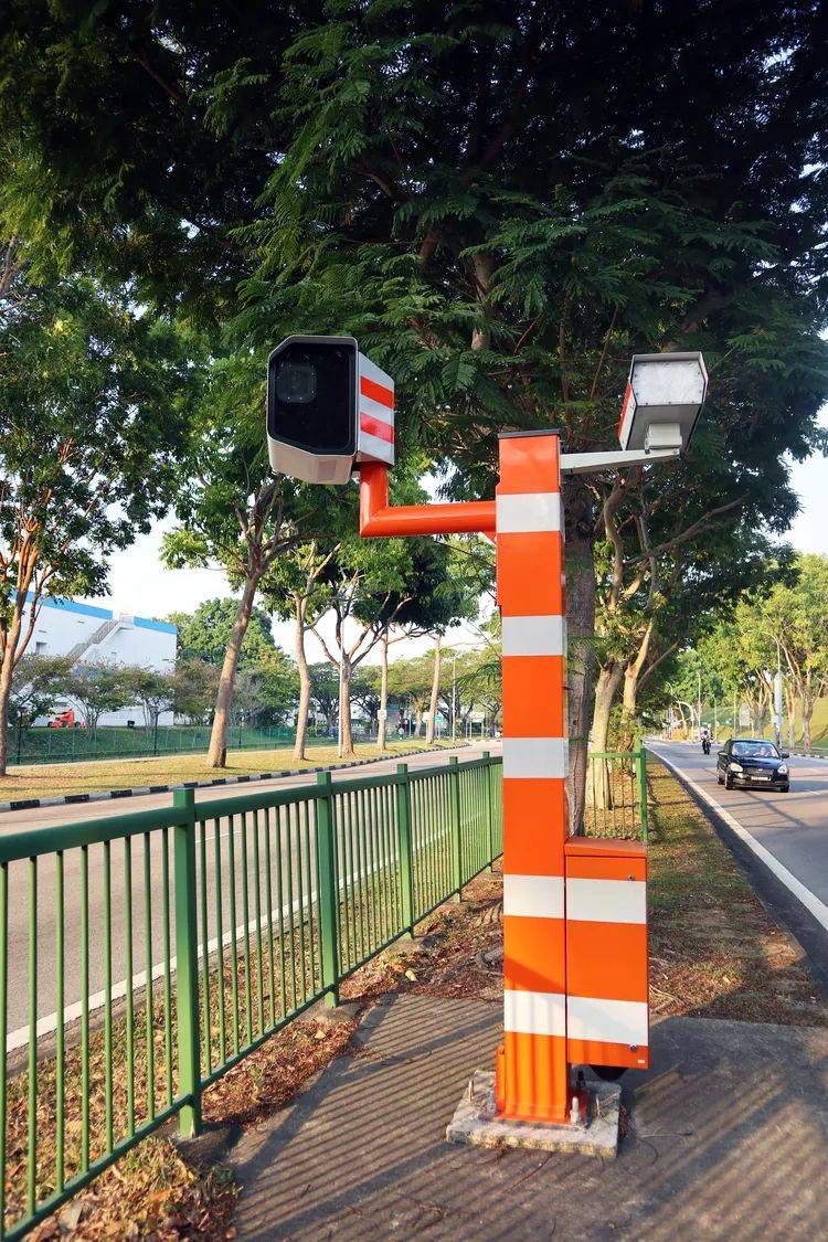 新加坡10年來最慘車禍:車牌號1441竟被當彩票號碼投注!死者疑遭網暴