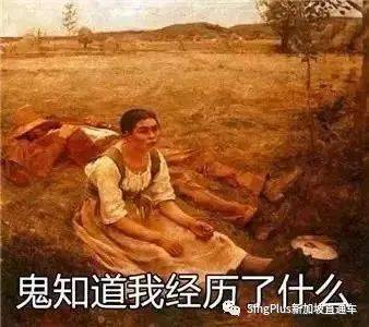 《新加坡高校留学生图鉴》