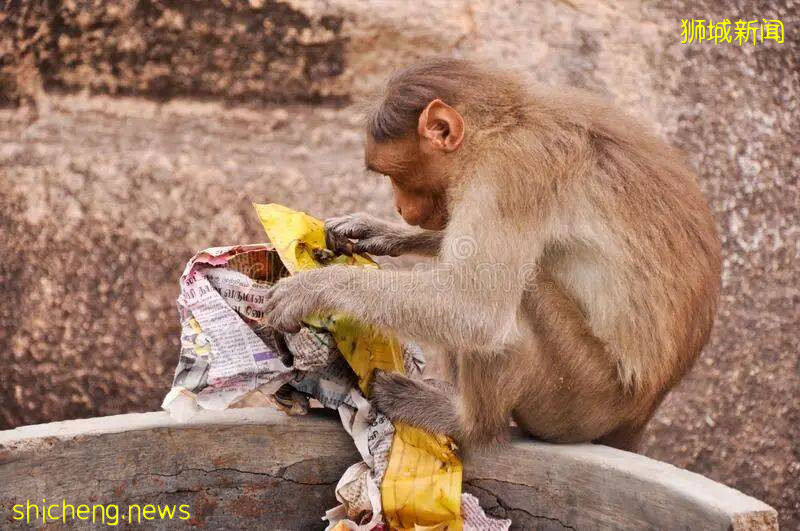 呼籲!打擊 NTU 校園黑惡勢力刻不容緩