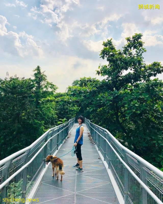 第2个周末，新加坡路上超多人！吐血推荐15个人少好玩的地方