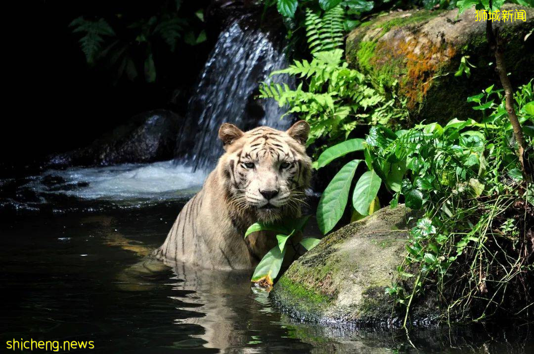 去新加坡留学那些必打卡的景点