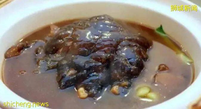 能让鳄鱼做噩梦的地方是新加坡，见孩子咳嗽鳄鱼吓得浑身颤抖