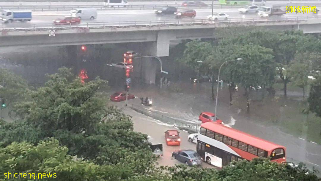 新加坡大暴雨:马路变河、草坡变瀑布!25人被困,1人送医