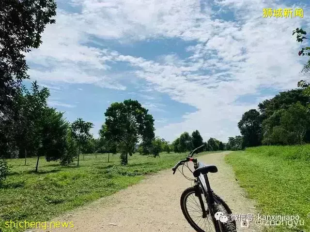 一日游好去处!新加坡的这个小岛你去过吗