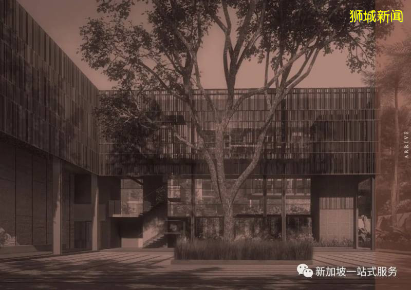 新加坡大學優勢和申請新