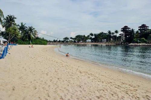 有毒水母泛滥新加坡海滩！圣淘沙禁止游泳，巴西立海边也有