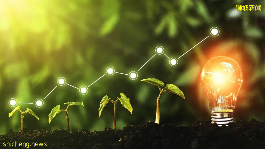 NUS新成立可持续与绿色金融研究所