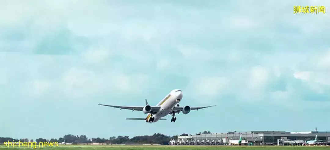 啊啊啊啊!新加坡回中國流程又簡化啦