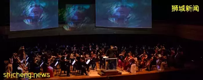 杨秀桃音乐学院 新加坡国立大学的亚洲伯克利