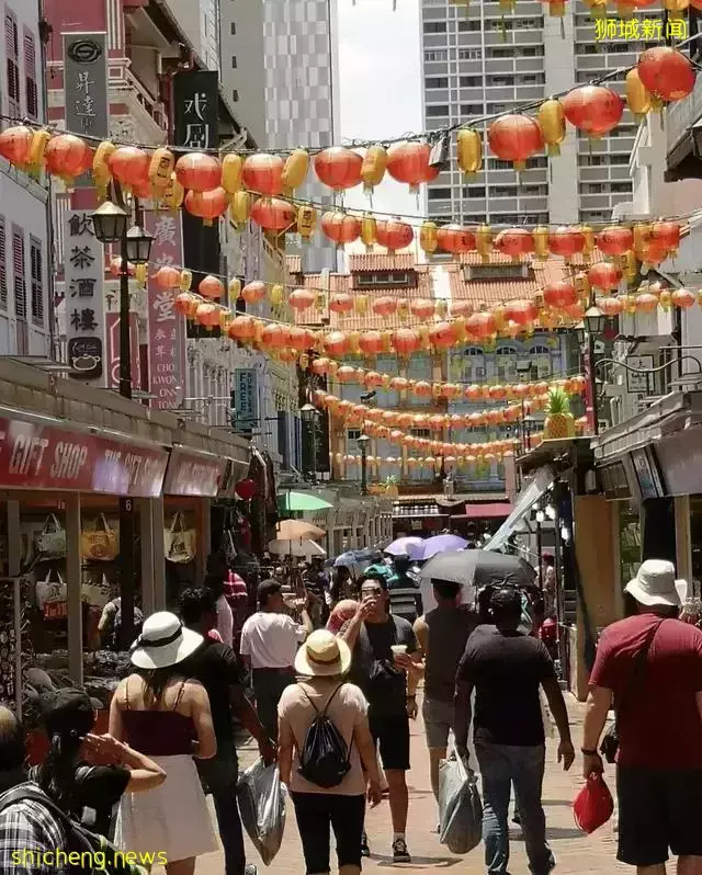 带你认识一个真实的新加坡,当地人的生活,让人很羡慕