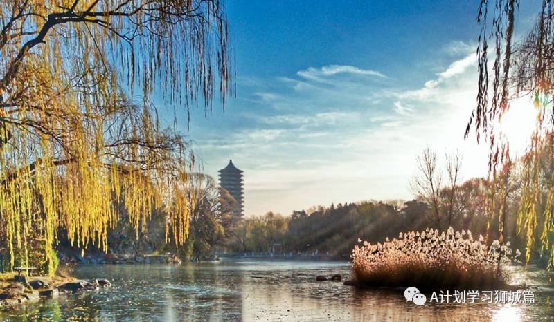 THE2021世界大学专学科排名:工程与技术