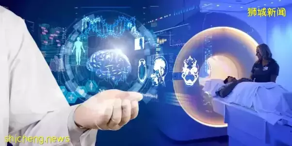 新加坡医学影像分析解决方案