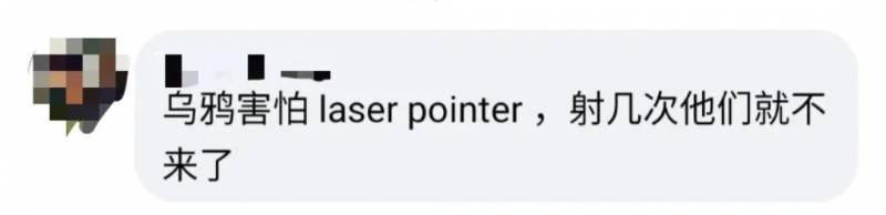 1700新币招聘“赶鸟人”,你敢去求职吗