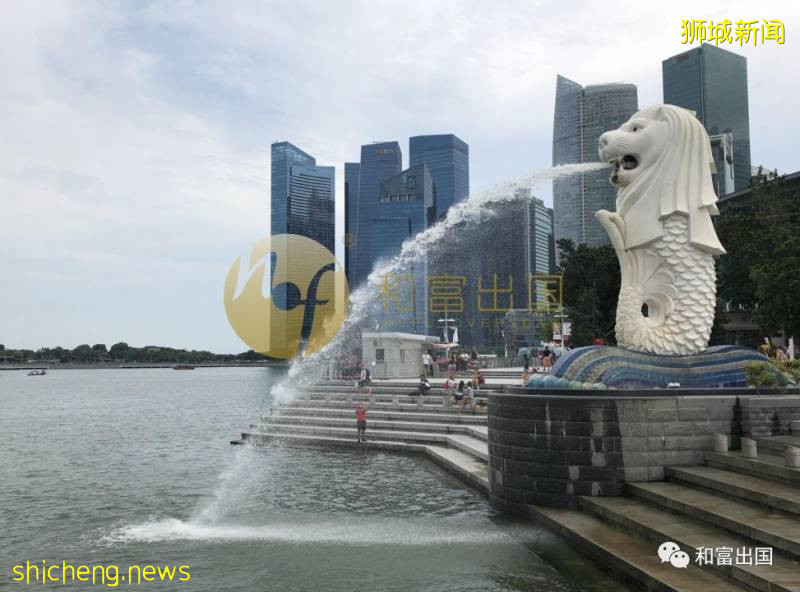 新加坡管理大學中國區招生!