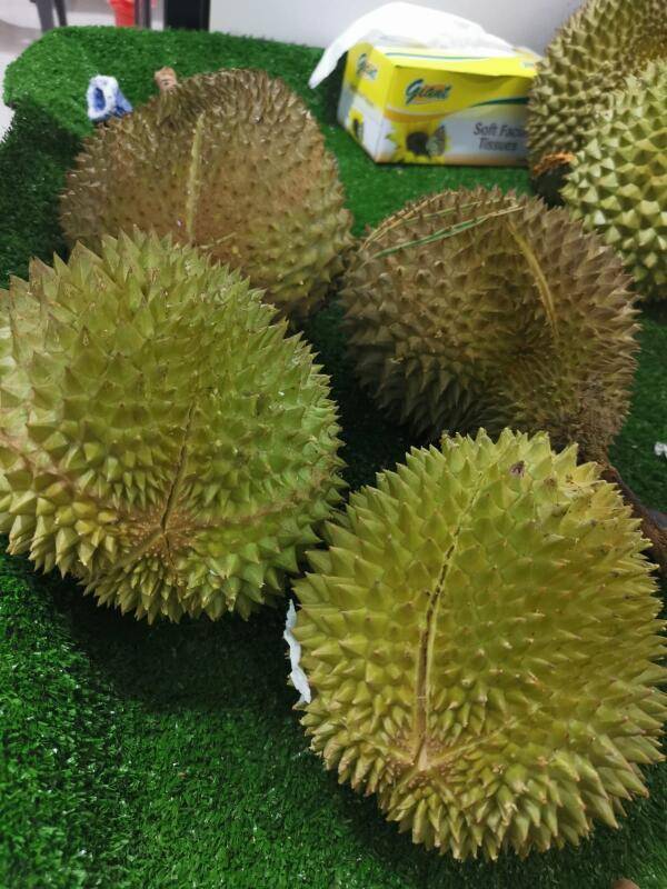 关卡塞车影响货物运送 榴梿变质丢一半