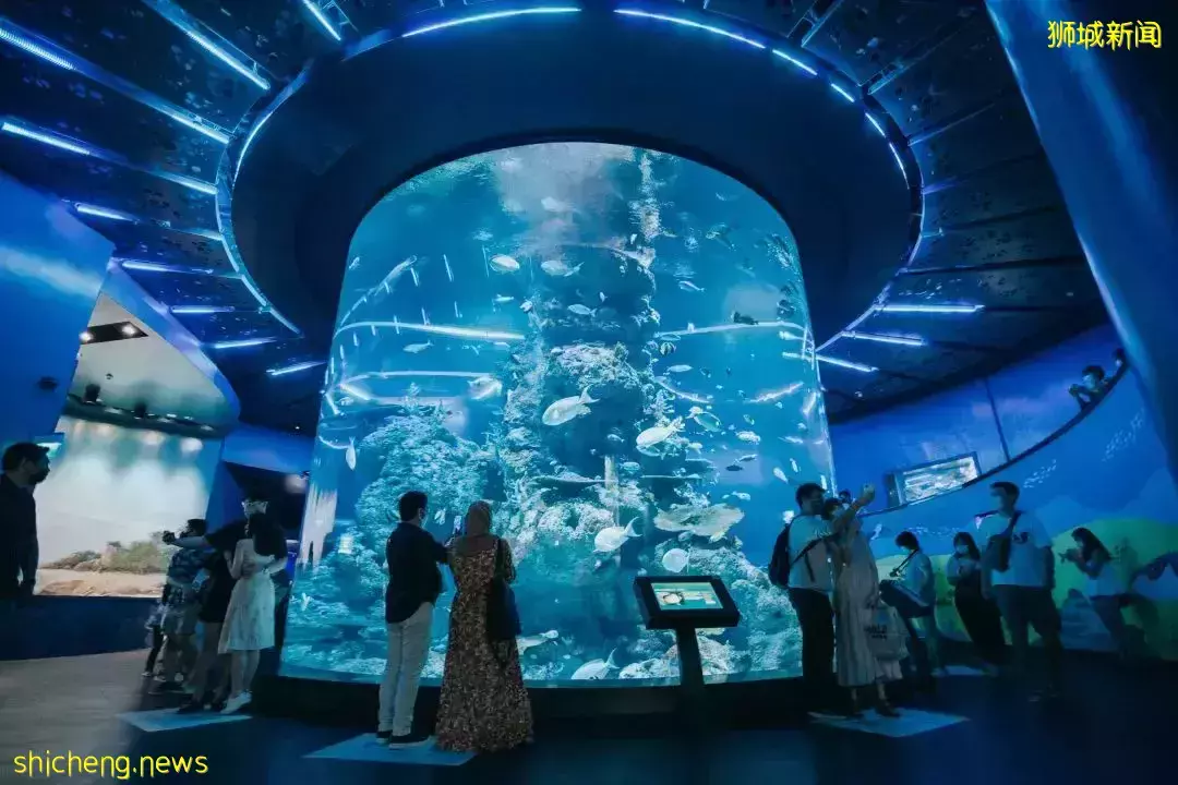 用网络热词打开狮城旅行,画风什么样