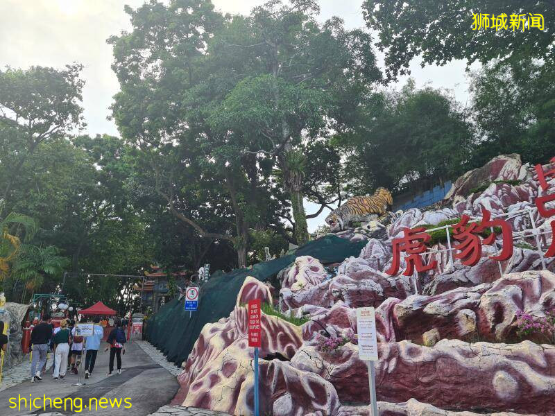 整修遇疫情拖了9个月   虎豹别墅重开 迎客逾千