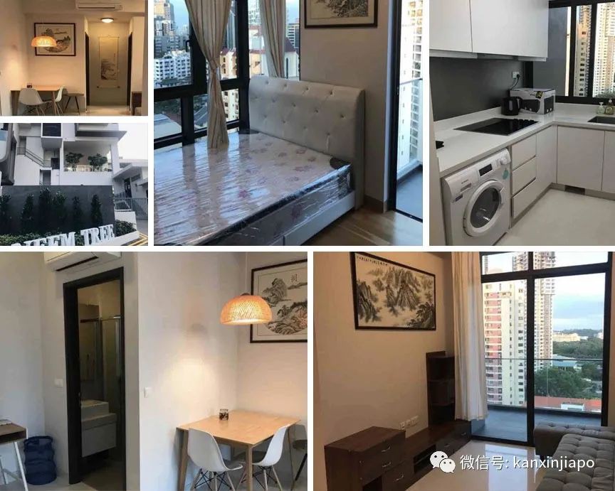 【汇总】出租求租信息:总有一个是你喜欢的!