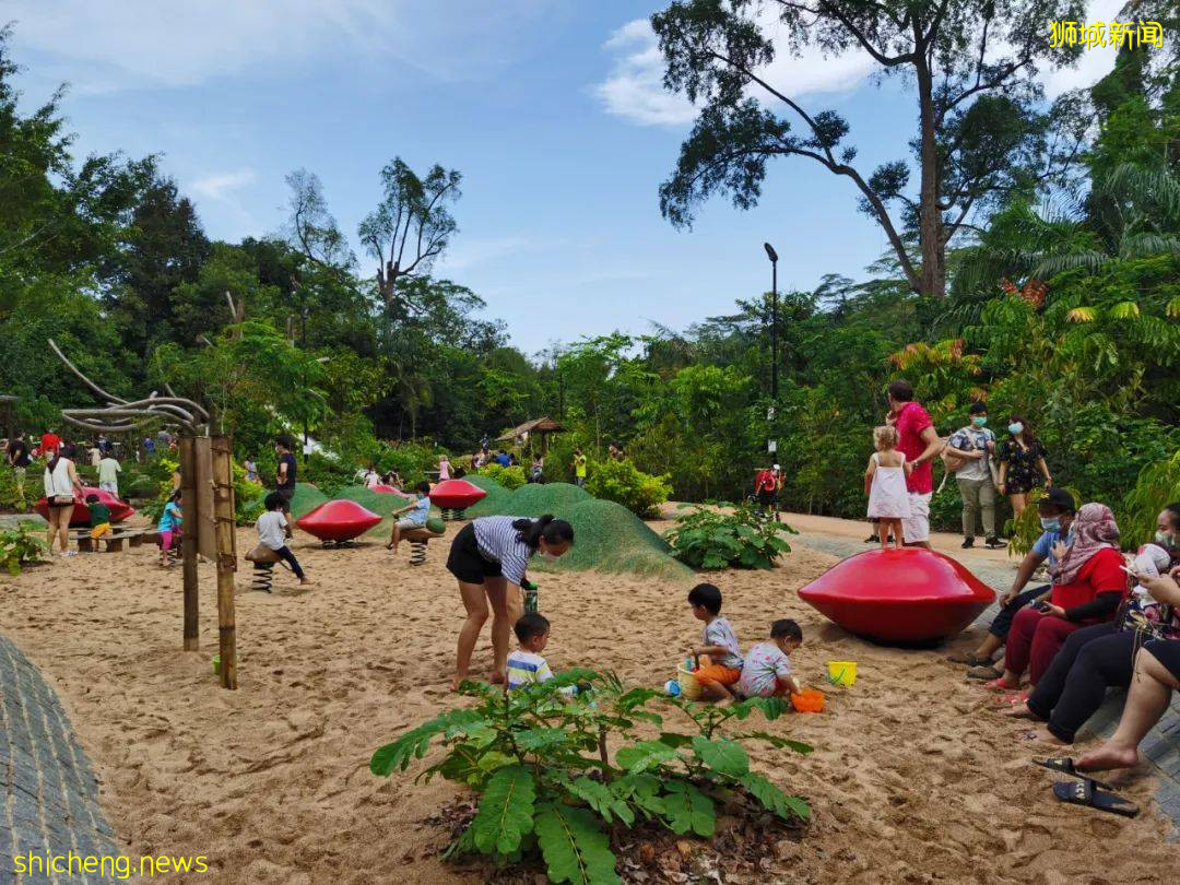 叢林遊樂場、自然博物館、山路徒步……新加坡這個公園翻新後更好玩啦