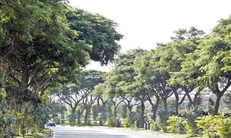 绿色新加坡：2030年全岛工业区将有约100公顷的绿色空间