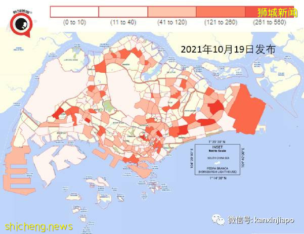 新加坡小学生抗疫新常态,返校每两周捅一次鼻子