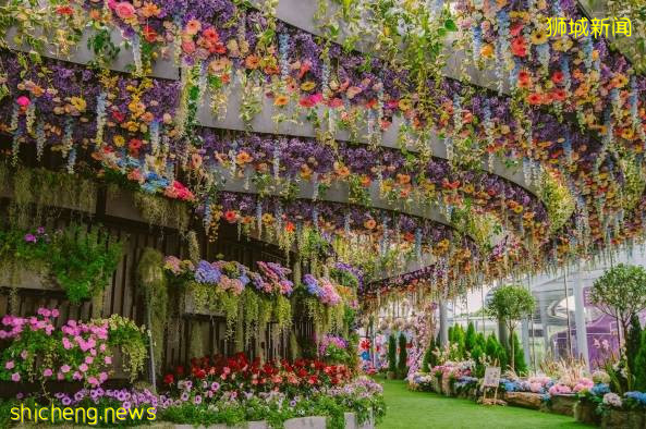 新加坡旅遊局 x ABC Cooking Studio 對這座花園城市狠狠“新”動了