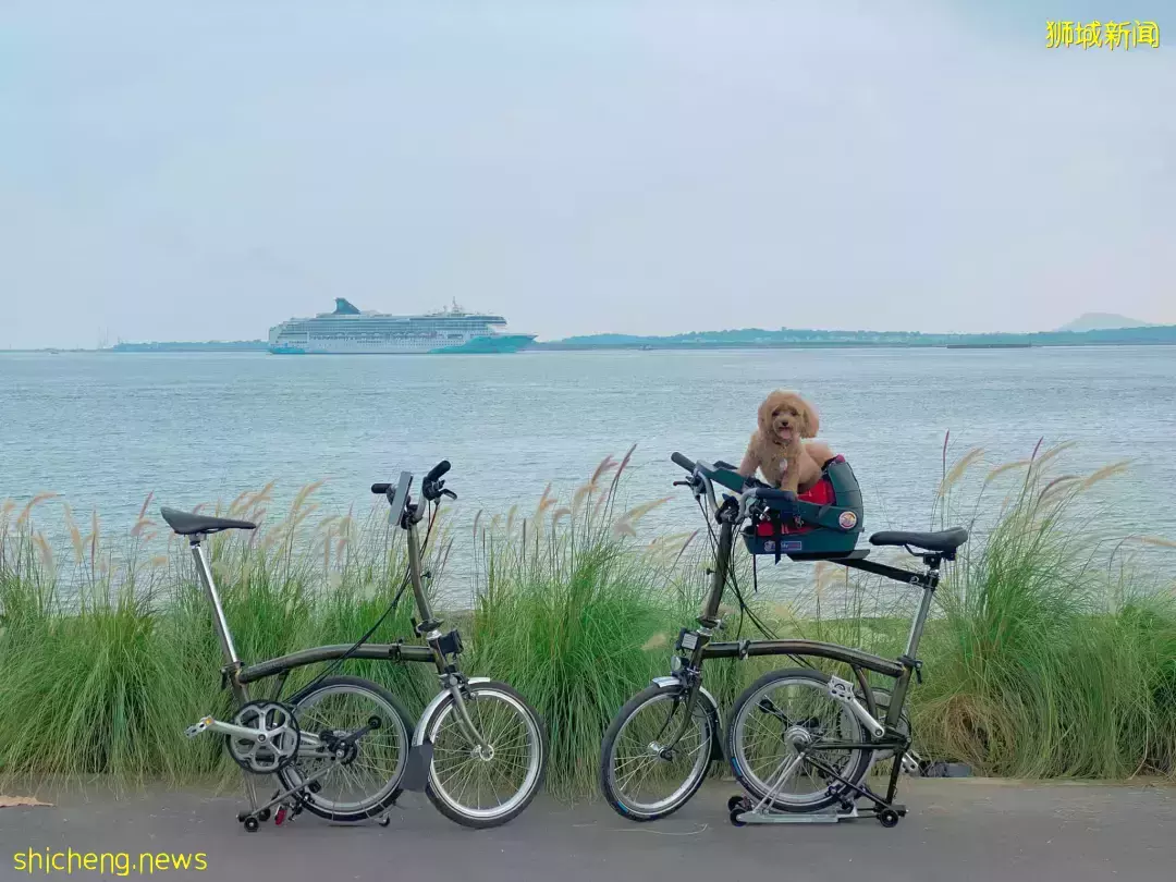 新加坡最新网红景点!风景绝美必打卡