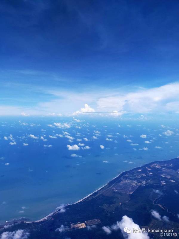 新加坡杭州飞行最新经历，樟宜机场病毒检测12小时出结果