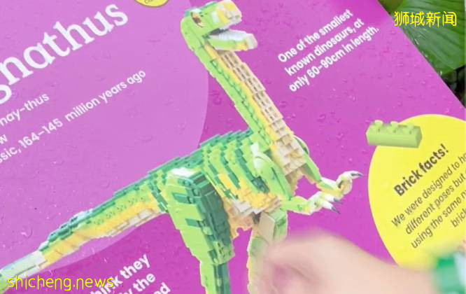 门票6折！一只恐龙有多大？亚洲首个积木恐龙世界，超过60只在新加坡动物园和河川生态园与你捉迷藏