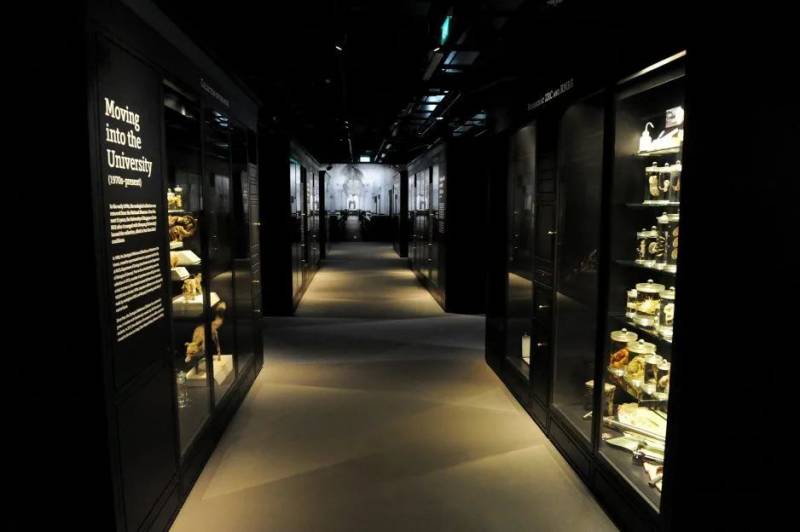 国大李光前自然历史博物馆成立五周年,推出线上专页及更多线上活动