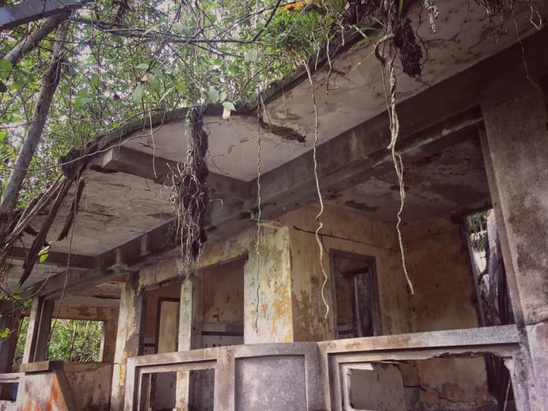 新加坡Coney Island废弃别墅,摇摇欲坠木桥小路,抓摸不清的寻访路线!🤨