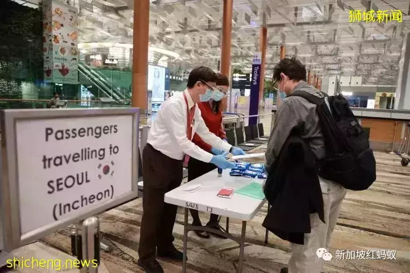 航空陆路旅游走廊暂停售票 卫生部:新毒株迟早在新加坡社区传播