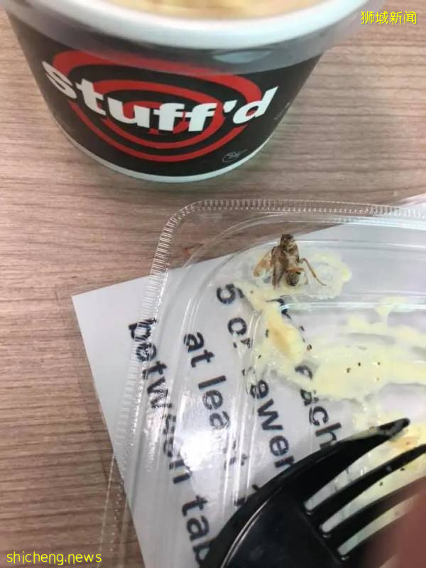 惊!“我在樟宜机场的这个餐厅打包,竟然吃出一只蟑螂!”