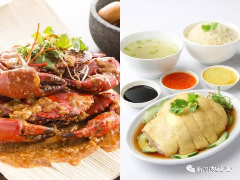 CNN“全球50大美食”，新加坡辣椒螃蟹和海南雞飯的排名輸給馬國槟城亞參叻沙