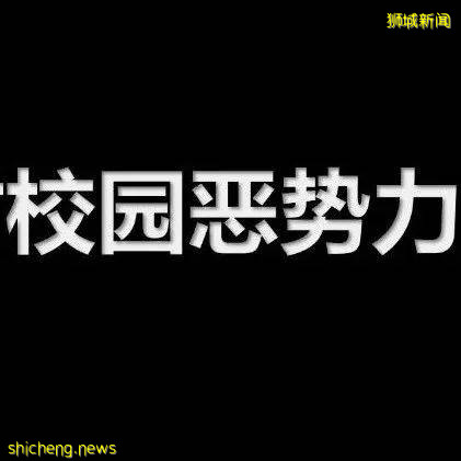 國大校園驚現水獺家族！背後竟有一段浪漫愛情故事
