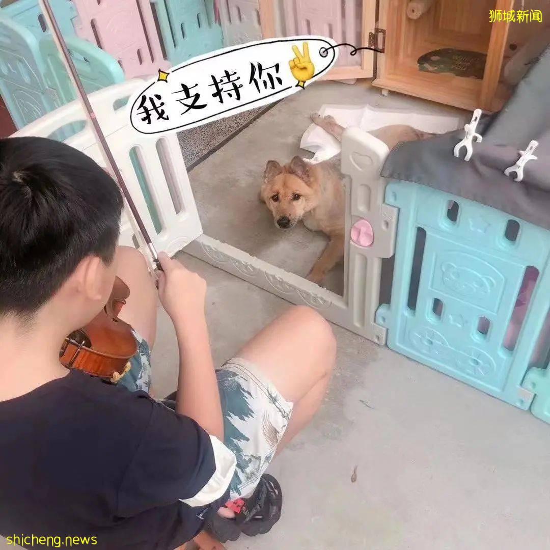 “我最亲爱的四喜走了,带走了我在新加坡16年的青春和回忆...”